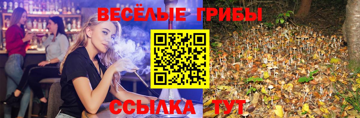Псилоцибиновые грибы Cubensis Истра