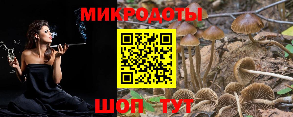 Истра  Псилоцибиновые грибы мицелий  Вход с VPN 