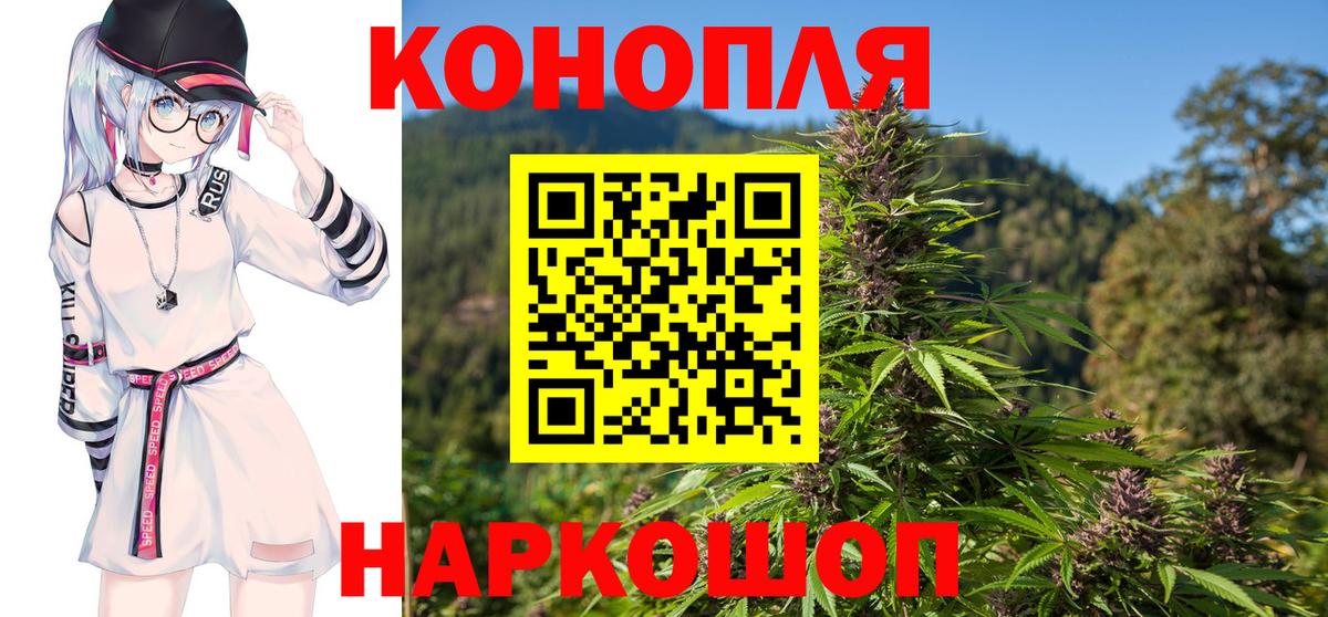 Конопля план  Шишки марихуана конопля  Истра  Вход с VPN 